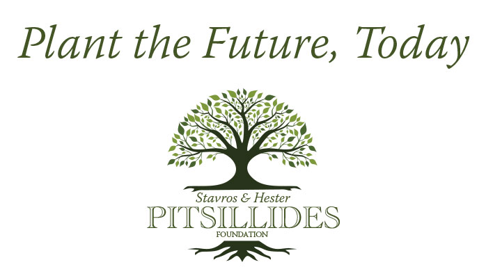 Stavros & Hester Pitsillides Foundation